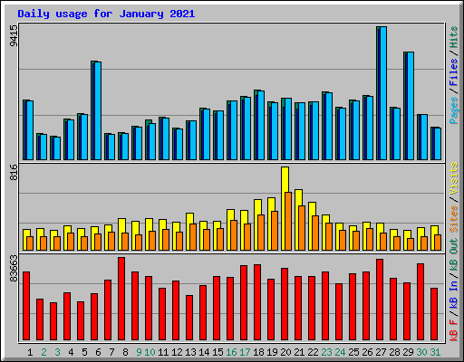 Daily usage for January 2021