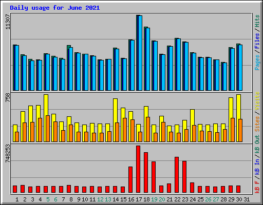 Daily usage for June 2021