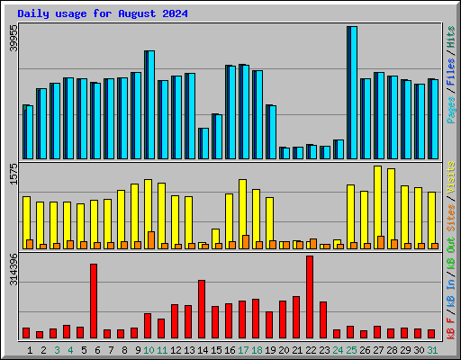 Daily usage for August 2024