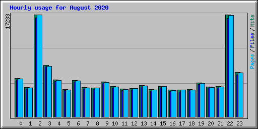 Hourly usage for August 2020