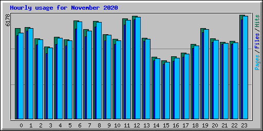 Hourly usage for November 2020