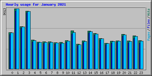 Hourly usage for January 2021
