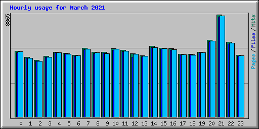 Hourly usage for March 2021