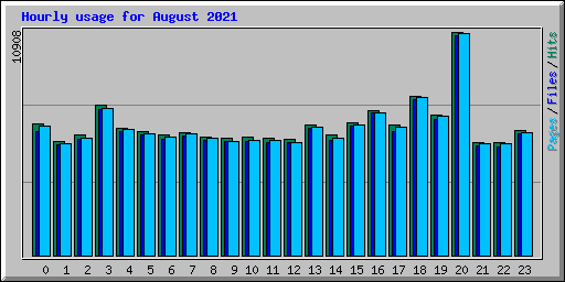 Hourly usage for August 2021