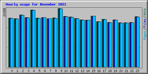 Hourly usage for November 2021
