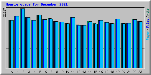 Hourly usage for December 2021