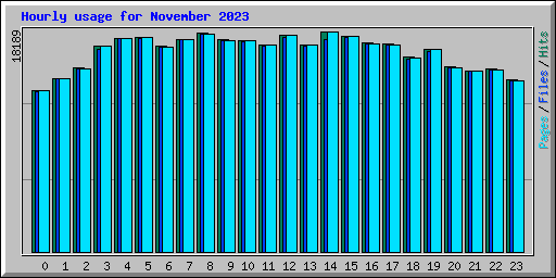 Hourly usage for November 2023