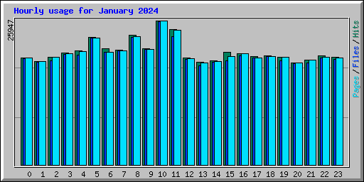 Hourly usage for January 2024