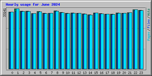 Hourly usage for June 2024