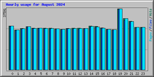 Hourly usage for August 2024