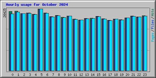 Hourly usage for October 2024