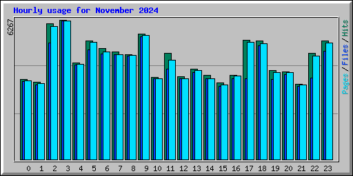 Hourly usage for November 2024