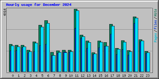 Hourly usage for December 2024