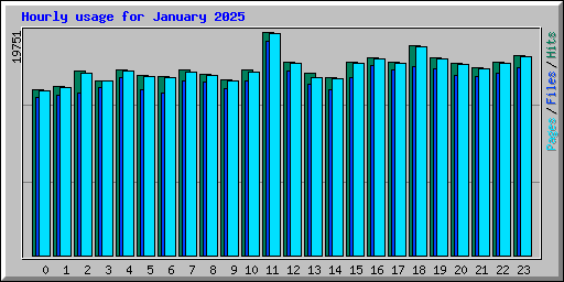 Hourly usage for January 2025