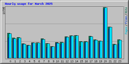 Hourly usage for March 2025