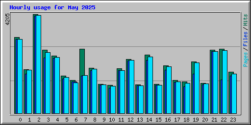 Hourly usage for May 2025